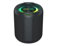 Głośnik przenośny CANYON Głośnik Bluetooth OnMove 11 IPX6 TWS 20W EQ RGB Czarny